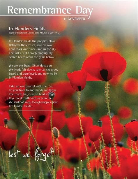 flanders fields poem  elgin county library facebook