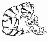 Coloring Pages Baby Cute Cats Cat Animal sketch template