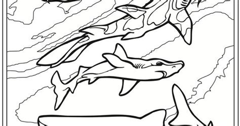 sharks coloring book dover publications coloring pages  edition