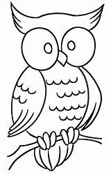 Owl Colorear Para Coloring sketch template