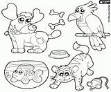 Zwierzeta Domowe Kolorowanki Rysunki Malowanki Zwierzęta Gato sketch template