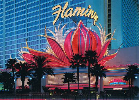 vip casino host  comps  flamingo las vegas nevada
