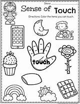 Senses Touch Preescolar Planningplaytime Sentidos Sight Trabajo Cinco Imprimibles Playtime sketch template