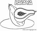 Papaya Coloring Sheets Google Search Pages Drawing Chọn Bảng Getdrawings sketch template