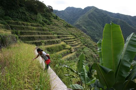 Lessons From The Terraces Travels In The Philippine Cordilleras