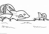 Tiburones Rochen Sharks Haie Mantarayas Drucken sketch template