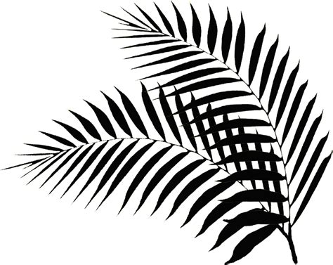 palm leaf drawing easy easy palm leaf drawing bodaswasuas