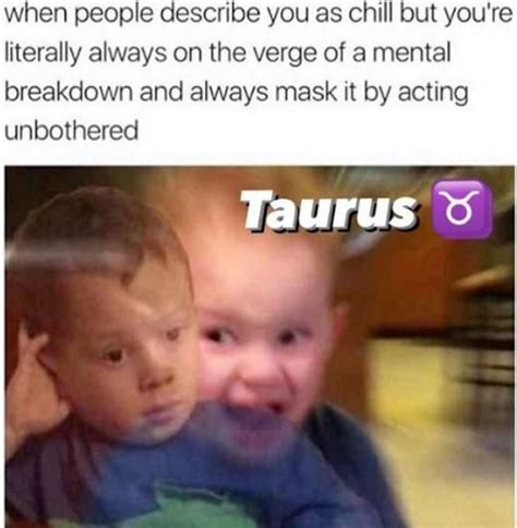 50 Best Taurus Memes That Describe This Zodiac Sign Taurus Zodiac