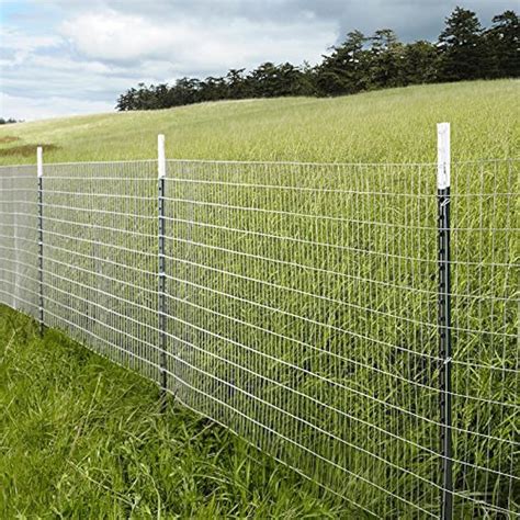 mtb galvanized welded wire mesh garden economy fence    ga outdoor ebay