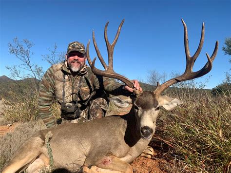 Mexico Mule Deer Hunts 2021 2022 Premium Hunting Destination In The
