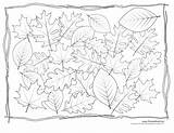 Leaves Coloring Pile Pages Printable Fall Color Getcolorings Autumn Click Print Getdrawings sketch template