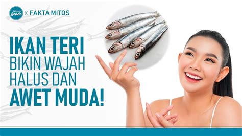 Kaya Nutrisi Ikan Teri Terbukti Bikin Wajah Halus Dan Awet Muda