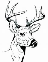 Pages Hunting Coloring Printable Dog Deer Getcolorings sketch template