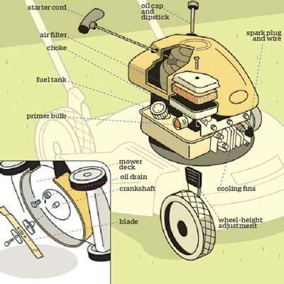 anatomy   lawn mower modern design lawn mower repair lawn mower lawn mower maintenance