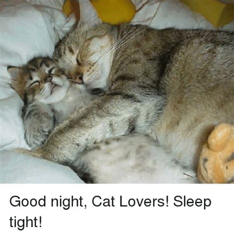 Good Night Cat Lovers Sleep Tight Meme On Me Me