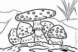 Toadstool Coloring Next sketch template