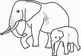 Elephant Coloring Baby Pages Mother Family Printable Categories sketch template