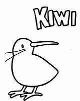 Kiwi Bird Coloring Pages Animal Drawing Getdrawings sketch template