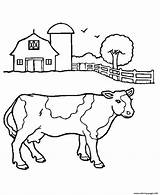 Cow Coloring Farm Pages Animal Printable Color Print Book sketch template