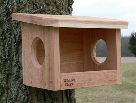 robin phoebe nestbox bird house bird house plans bird house feeder