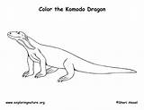 Komodo sketch template