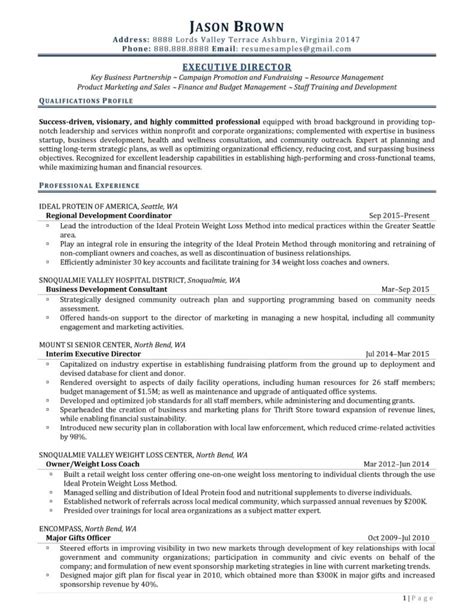 executive director resume examples resume professional writers