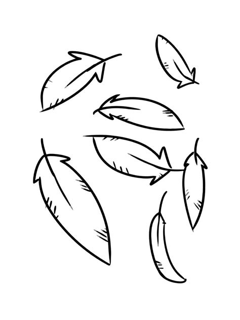 feathers coloring pages
