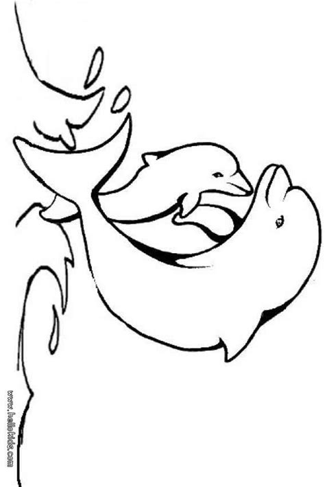baby dolphin coloring pages hellokidscom
