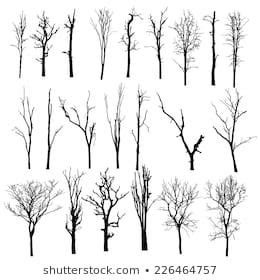 similar images stock  vectors  silhouettes trees  shutterstock tree