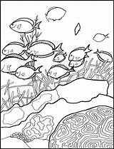 Coloring Reef Pages Coral Ocean Barrier Great Book Printable Fish Pacific Life Clipart Fun Colouring Year Atoll Environment Games Print sketch template