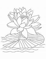 Lotus Flower Coloring Pages Printable Sheets Bloom Reopen Color Colouring Drawing Lily Colors Easy Flowers Getcolorings Kids Kidsplaycolor Getdrawings Visit sketch template