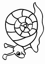 Coloriage Colorat Escargot Coquille Dessin Caracoles Melci Caracol Imprimer Animale Planse Dibujar 1040 Hugolescargot Colorier Coloriages Dessiner Avec Mandala Snails sketch template