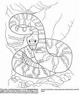 Coloring Pages Rattlesnake Viper Snake Desert Color Snakes Dangerous Yuckles Cool Getcolorings Printable Scene Getdrawings Visit Comments sketch template