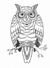 Coloring Pages Owl Tattoo Stencils Stencil Adult Printable Colouring Drawings Well Soon Majuu Resting Twig Cute Old Owls Tattoos sketch template