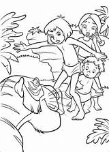 Dschungelbuch Ausmalbilder Kinder Ausmalen Färben Ausmalbilde sketch template