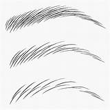 Eyebrow Drawing Eyebrows Hair Practice Strokes Sobrancelha Microblading Sobrancelhas Sketch Getdrawings Stroke Desenho Drawings Makeup Choose Board Escolha Pasta sketch template