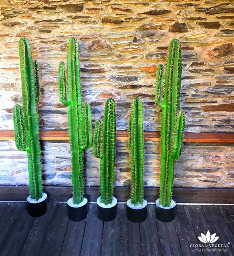 location de cactus artificiel global vegetal