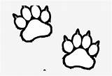 Tiger Coloring Paw Paws Pages Clipart Scratches Webstockreview Logo Clipground Kindpng Transparent Nicepng sketch template