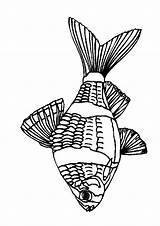 Vissen Dieren Fisch Ausmalbilder Poisson Coloriages Animaatjes Malvorlagen Kleurplatenwereld Gify Animierte sketch template