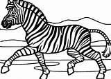 Zebra Coloring Pages Realistic Printable Color Print Animalplace Getdrawings Face Getcolorings 95kb 432px sketch template