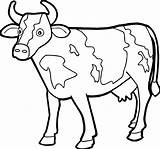 Cow Staying sketch template