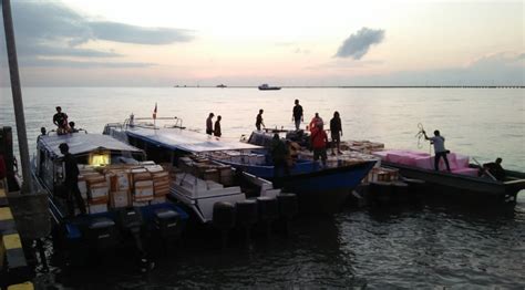 indonesia mulai ekspor ikan  malaysia melalui sebatik kalimantan