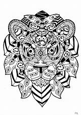 Zentangle Adultos Colorare Leones Mandala Adulti Coloriage Erwachsene Adulte Sheets Animaux Impressionnante Tête Justcolor Lowen Pauline Ausmalen Malbuch Nggallery sketch template