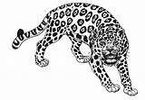 Jaguares Niños Colorier Colorea Bulk Coloriages Pretende Compartan Disfrute Motivo sketch template