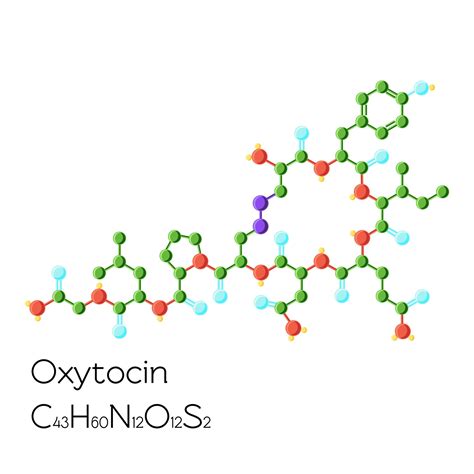 oxytocin enjoy  ohhs   partner