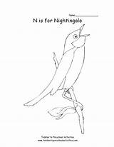Coloring Nightingale Pages Kids sketch template