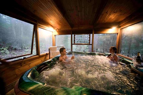 luxury log cabin  spa  gondwana rainforest queensland