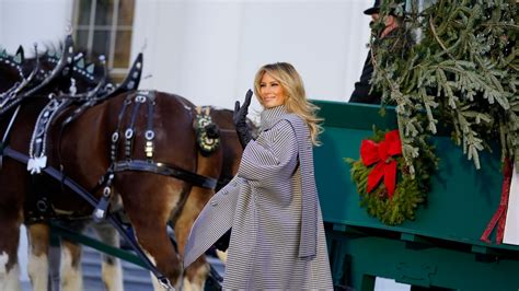 melania trump receives white house christmas tree  west virginia