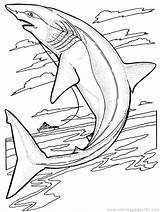 Sharkboy Lavagirl Coloring Pages Getcolorings Print Printable Color sketch template