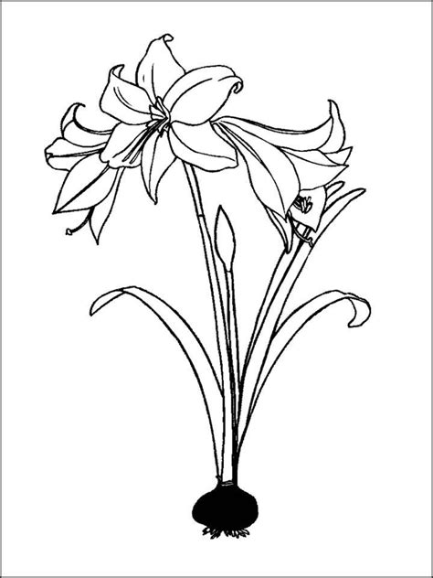 black  white coloring pages printable